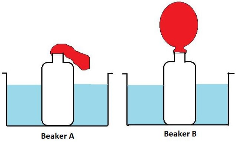 Science Practice Test 4 | CPexamAssist.com